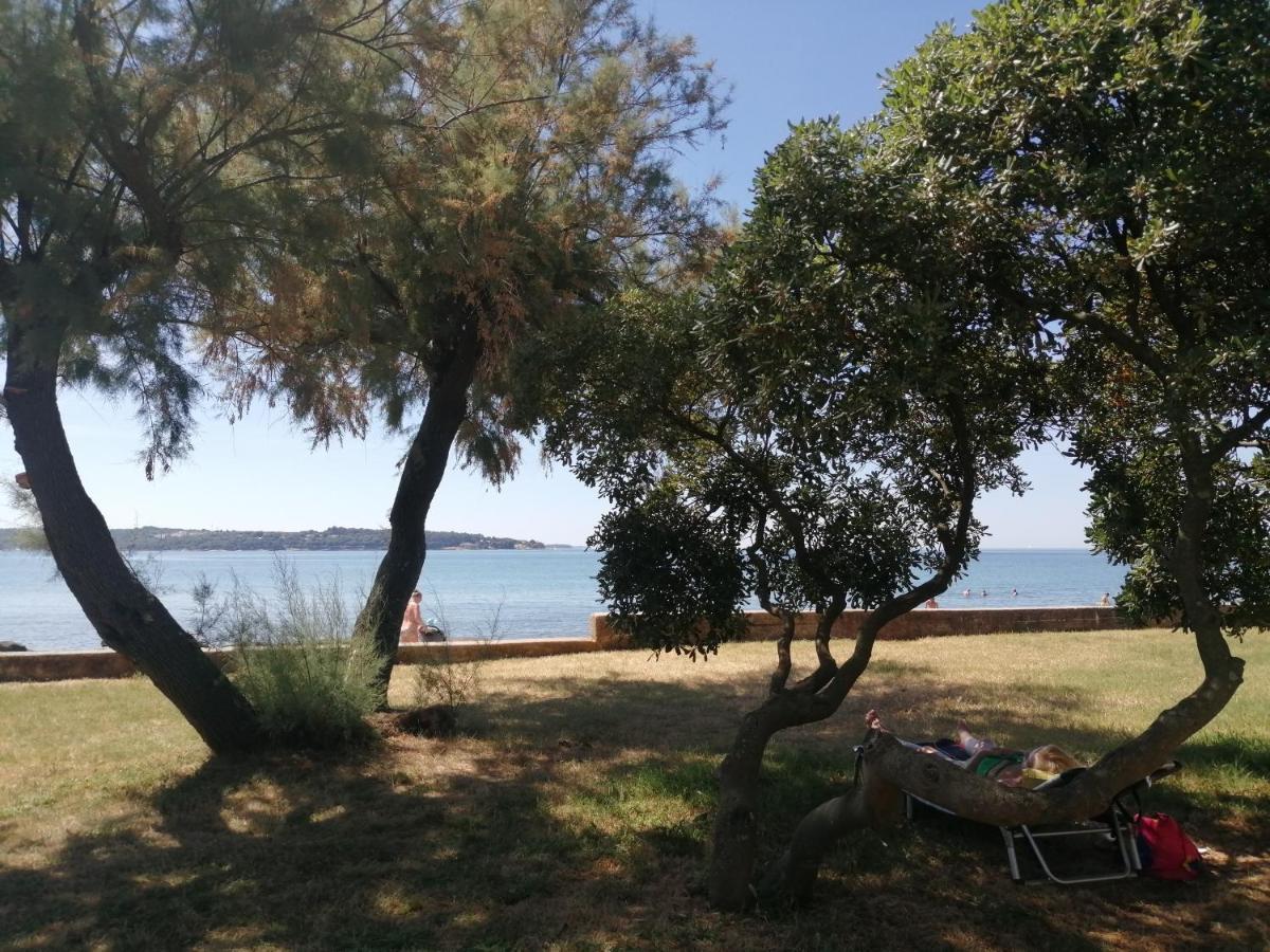 Apartment Vera, 80 M From The Sea Novigrad Istria Eksteriør billede