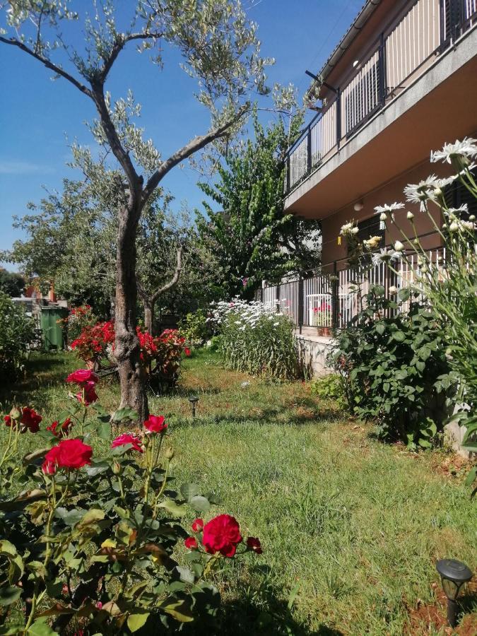 Apartment Vera, 80 M From The Sea Novigrad Istria Eksteriør billede